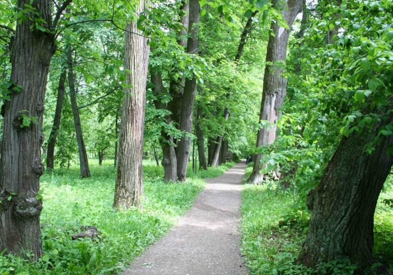 22 Mai – Ziua Internaţională a Diversităţii Biologice