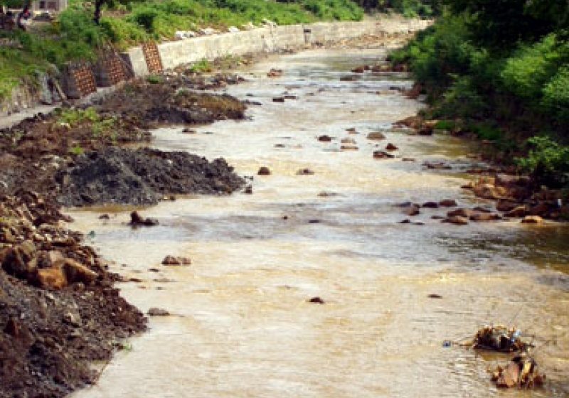 Săptâmâna aceasta au fost efectuate lucrări de salubrizare şi igienizare a malurilor râului Săsar Săptâmâna aceasta au fost efectuate lucrări de salubrizare şi igienizare a malurilor râului Săsar