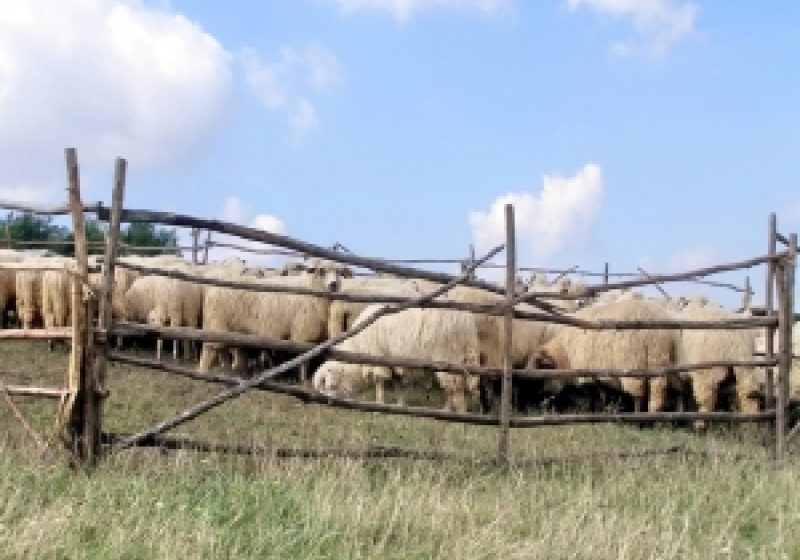 MADR dă startul accesării fondurilor destinate zonelor montane