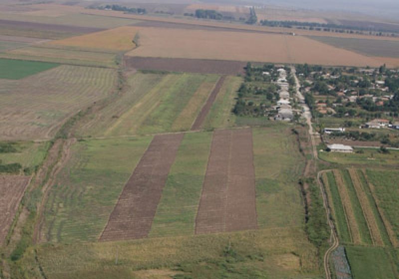 România pierde anual circa 330 de milioane de euro din cauza faptului că aproximativ trei milioane de hectare de teren nu sunt lucrate România pierde anual circa 330 de milioane de euro din cauza faptului că aproximativ trei milioane de hectare de teren nu sunt lucrate