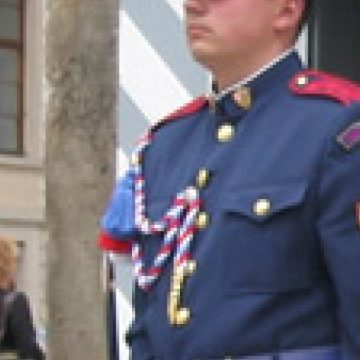 Paznic "VIGILENT" la Colegiul Dragos Voda Sighet Paznic "VIGILENT" la Colegiul Dragos Voda Sighet