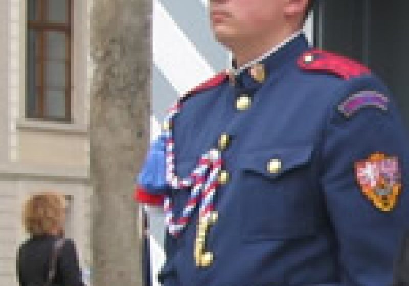 Paznic "VIGILENT" la Colegiul Dragos Voda Sighet