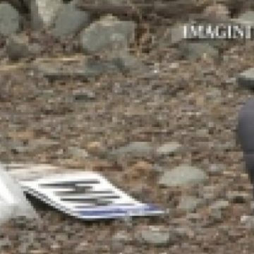 INSTANŢĂ: Astăzi se decide soarta consilierului GHEORGHE HÂRB, acuzat de ucidere din culpă INSTANŢĂ: Astăzi se decide soarta consilierului GHEORGHE HÂRB, acuzat de ucidere din culpă
