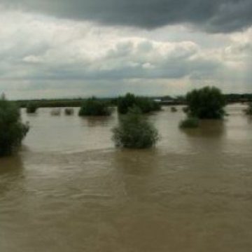 Avertizare cod galben în bazinele hidrografice Tisa, Iza, Vişeu şi Lăpuş