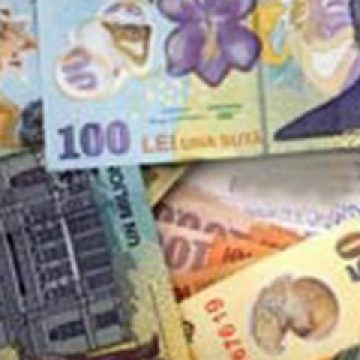 EVAZIUNE: Doi agenţi comerciali din Vişeu de Sus au păcălit statul cu 25 000 de lei