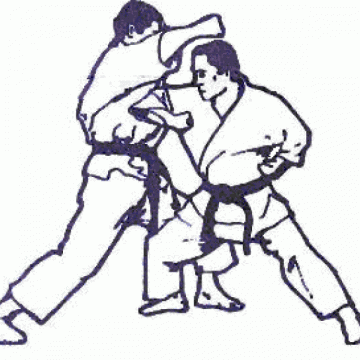 Doi sigheteni au participat la Campionatul Mondial de Karate care s-a desfăşurat în Italia