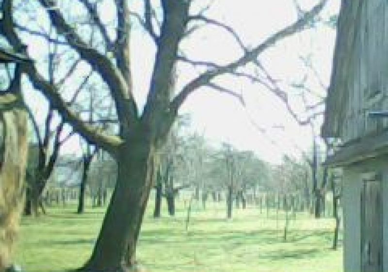 Vand CASA CU GRADINA