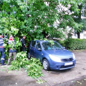 Baia Mare, Cicarlau, Tamaia, Cavnic: copaci prabusiti, ploi torentiale, vijelii si grindina Baia Mare, Cicarlau, Tamaia, Cavnic: copaci prabusiti, ploi torentiale, vijelii si grindina