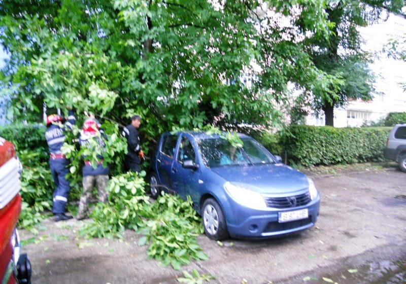 Baia Mare, Cicarlau, Tamaia, Cavnic: copaci prabusiti, ploi torentiale, vijelii si grindina