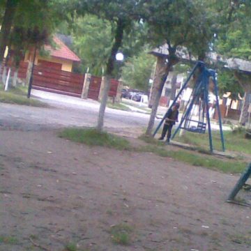 Cu toporul in parcul Gradina Morii…