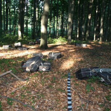Acţiune de combatere a contrabandei finalizată cu mai multe focuri de avertisment