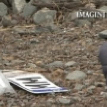 EXCLUSIV – Consilierului Gheorghe Hârb acuzat de ucidere din culpă îşi va executa pedeapsa în libertate EXCLUSIV – Consilierului Gheorghe Hârb acuzat de ucidere din culpă îşi va executa pedeapsa în libertate