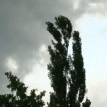 Baia Mare: Intensificari ale vantului
