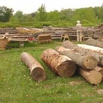 Profitând de absenţa muncitorilor forestieri, un bărbat din Sat Şugatag a sustras 2 mc de material lemnos Profitând de absenţa muncitorilor forestieri, un bărbat din Sat Şugatag a sustras 2 mc de material lemnos