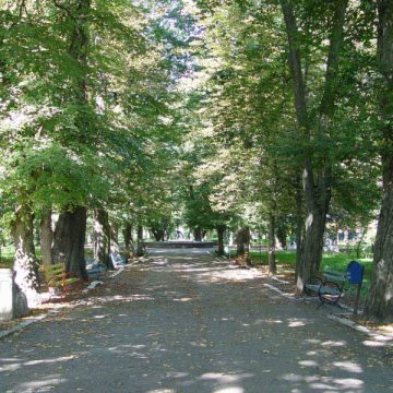 Baia Mare: Restaurantul de la intrarea din Parcul Municipal, contestat de localnicii din zona Baia Mare: Restaurantul de la intrarea din Parcul Municipal, contestat de localnicii din zona