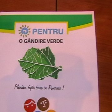 Sapte hectare de teren din Maramures vor fi impadurite printr-o actiune de voluntariat Sapte hectare de teren din Maramures vor fi impadurite printr-o actiune de voluntariat