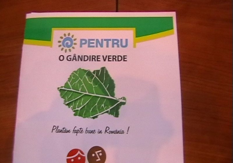 Sapte hectare de teren din Maramures vor fi impadurite printr-o actiune de voluntariat
