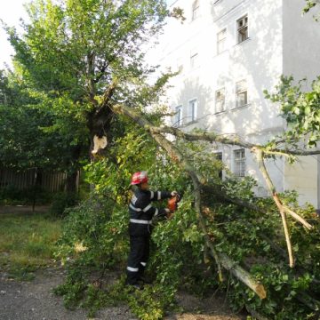 Vântul puternic a distrus maşini, reţele electrice şi copaci în întreg Maramureşul Vântul puternic a distrus maşini, reţele electrice şi copaci în întreg Maramureşul