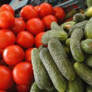 Producătorii români pierd zilnic 100.000 de euro din cauza blocării exporturilor de castraveţi către Germania şi Cehia