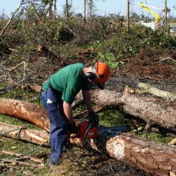 Infracţiuni de tăiere ilegală de arbori depistate pe raza localităţii Moisei