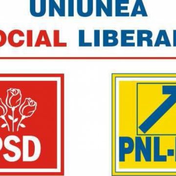 USL a propus preşedintelui schimbarea Guvernului cu unul de tehnocraţi, dar şi alegeri parlamentare anticipate în 2011