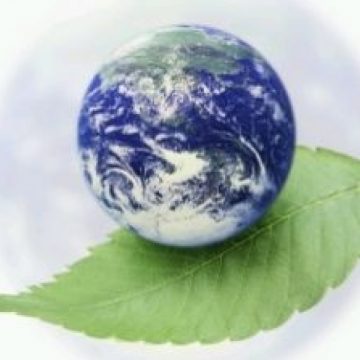 5 Iunie, Ziua Mondială a Mediului sărbătorită în Maramureş 5 Iunie, Ziua Mondială a Mediului sărbătorită în Maramureş