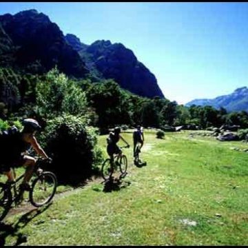 Baia Mare: Au fost inaugurati aproximativ 100 de kilometri pentru amatorii de cicloturism Baia Mare: Au fost inaugurati aproximativ 100 de kilometri pentru amatorii de cicloturism