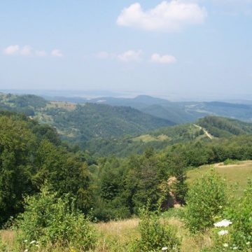 Festivalului cântecului şi portului chiorean “Joc între hotare”, de la Preluca Veche – a patra ediţie