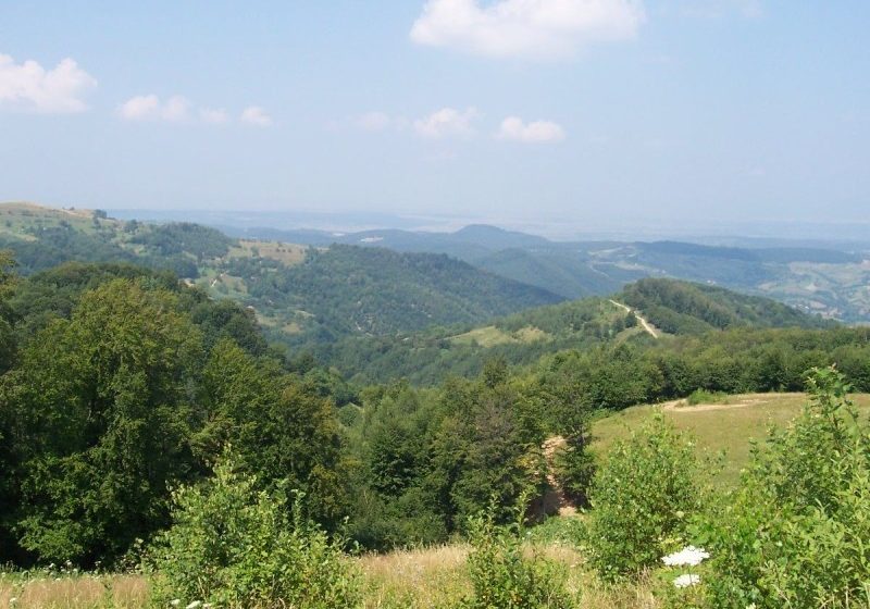 Festivalului cântecului şi portului chiorean “Joc între hotare”, de la Preluca Veche – a patra ediţie Festivalului cântecului şi portului chiorean “Joc între hotare”, de la Preluca Veche – a patra ediţie