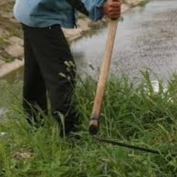 Fetiţă de 7 ani, decedată după ce a fost lovită, din greşeală, cu coasa de fratele ei