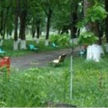 Parcul de joacă de la Grădina Morii…distracţie sau pericol pentru cei mici?