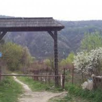 Parcul dendrologic: insulă de verdeaţă, nepreţuită de sigheteni
