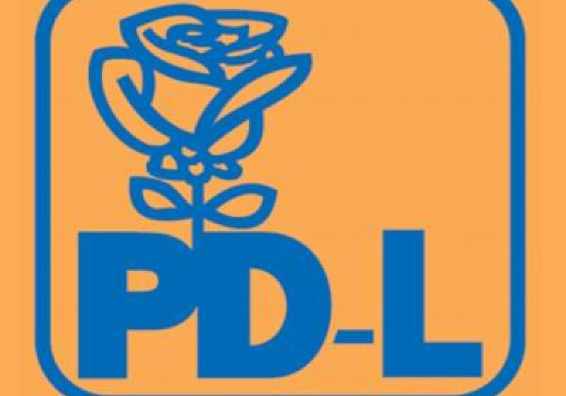 Maramures: Mariana Pop, candidatul oficial al PDL Maramures pentru functia de deputat pe Colegiul 2 Baia Mare Est