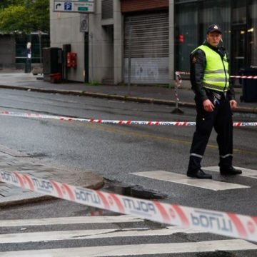 Poliţia norvegiană a descoperit şi distrus explozibil stocat la ferma lui Anders Breivik Poliţia norvegiană a descoperit şi distrus explozibil stocat la ferma lui Anders Breivik