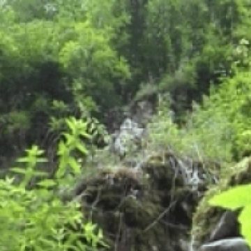 Turişti englezi coborâţi de pe munte cu ajutorul jandarmilor montani şi salvamontiştilor Turişti englezi coborâţi de pe munte cu ajutorul jandarmilor montani şi salvamontiştilor