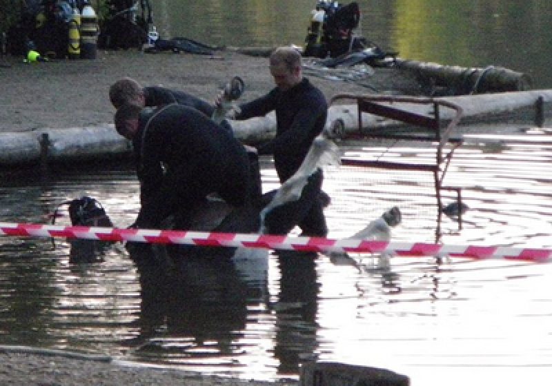 Un ponei a murit după ce a fost aruncat într-un râu cu tot cu cuşca în care se afla. Poliţia a deschis o anchetă