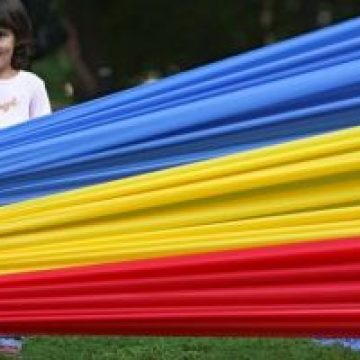 Ziua Limbii Române ar putea fi sărbătorită la 31 august