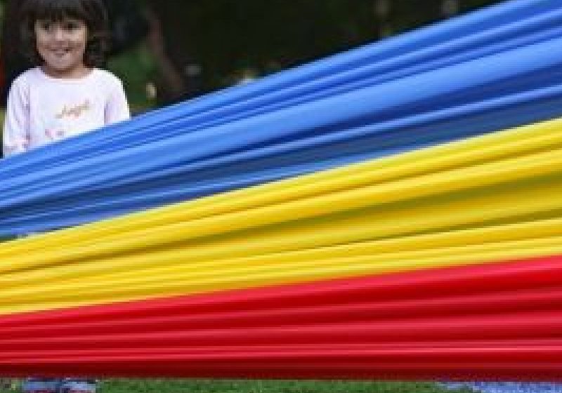 Ziua Limbii Române ar putea fi sărbătorită la 31 august Ziua Limbii Române ar putea fi sărbătorită la 31 august