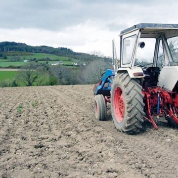 20 septembrie, termenul limită până la care fermierii pot depune Cererea de plată pentru fiecare an de solicitare