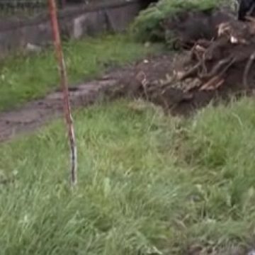 A intrat cu maşina în gard