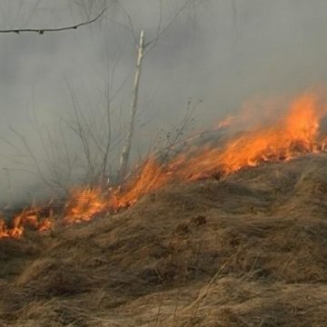 Arderea terenului îi lasă fără subvenţii