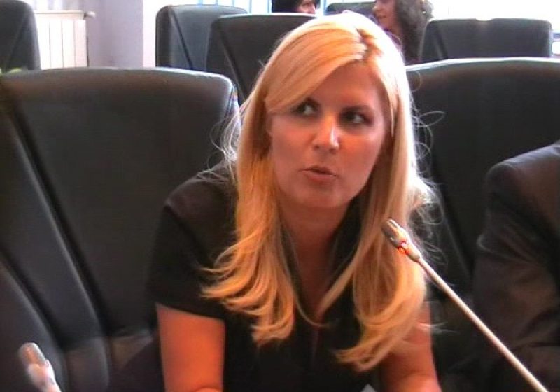 Baia Mare: Ministrul Elena Udrea este interesată de dezvoltarea domeniilor schiabile din Maramureş