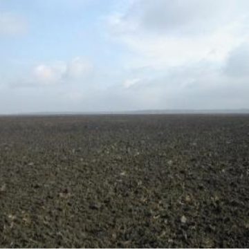 Exista potential agricol foarte mare in judetul nostru, insa fermierii nu sunt informati despre cum sa acceseze fondurile europene destinate dezvoltarii rurale