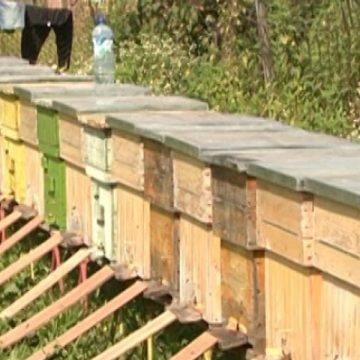 În 14 septembrie are loc  în Sighet Târgul de Miere