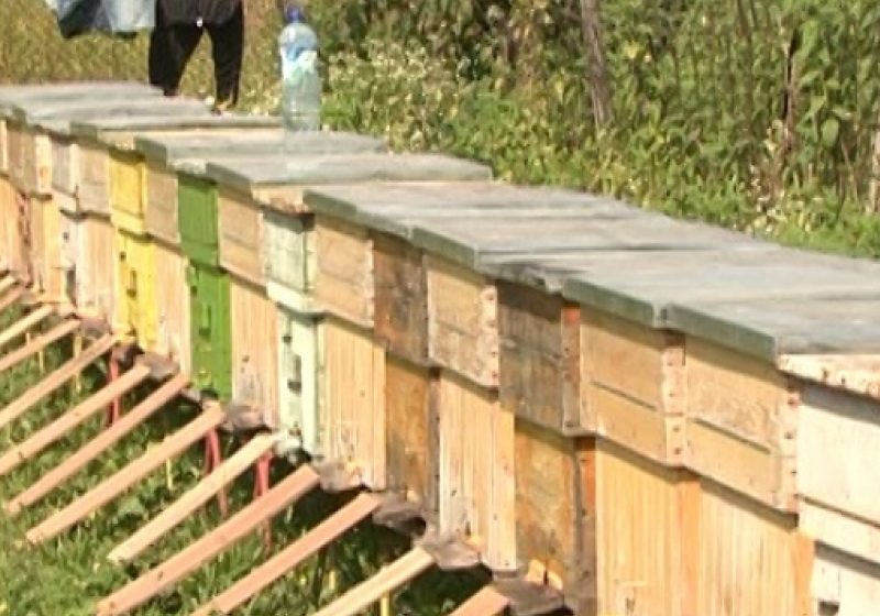 În 14 septembrie are loc  în Sighet Târgul de Miere