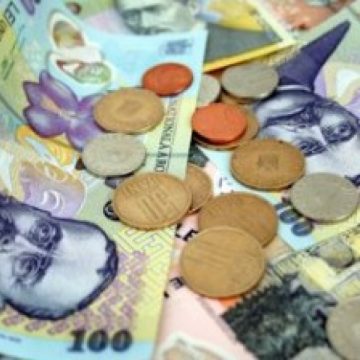 La nivelul Sighetului, Finanţele au de recuperat bani serioşi de la medicii veterinari