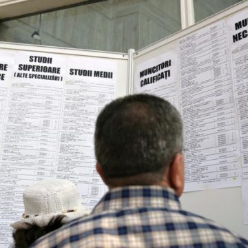 Baia Mare: 124 de locuri de muncă pentru maramureşeni, prin AJOFM Maramureş Baia Mare: 124 de locuri de muncă pentru maramureşeni, prin AJOFM Maramureş