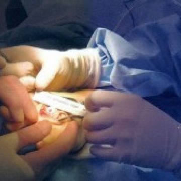 Ministerul Sănătăţii a lansat în dezbatere proiectul de Lege privind reproducerea umană asistată medical cu terţ donator