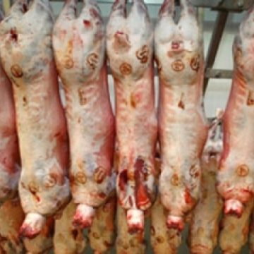 O nouă misiune de evaluare în România pentru a putea primi undă verde la exportul de carne de porc în ţările UE