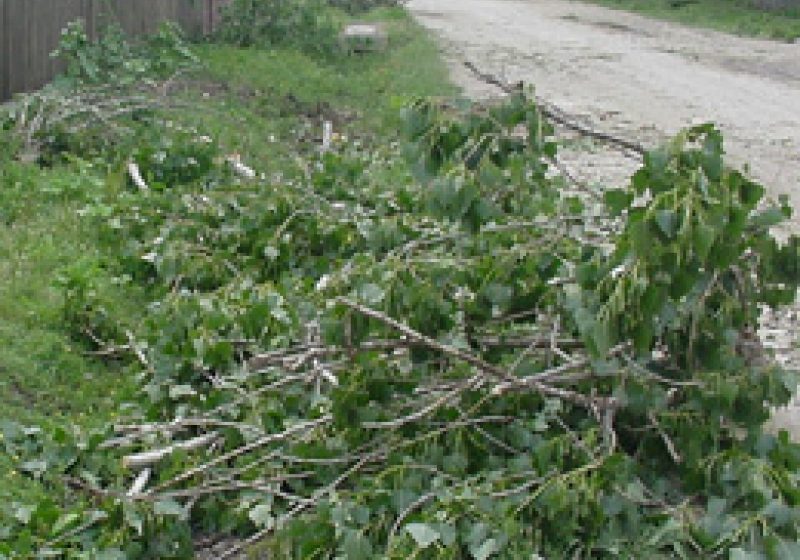 Peisaj dezolant în apropiere de Lacul Tepliţa, în urma vijeliilor